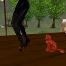 Thumb 577c31dcb015405ae9000001