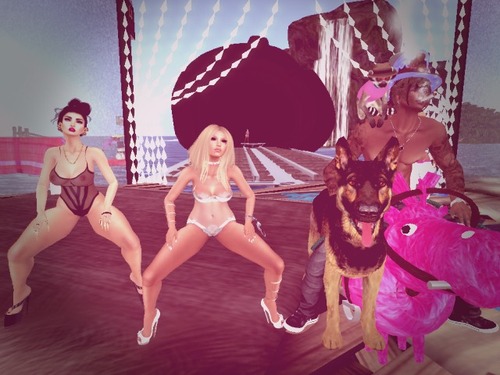 Web 559aa0eea73e21041f000001