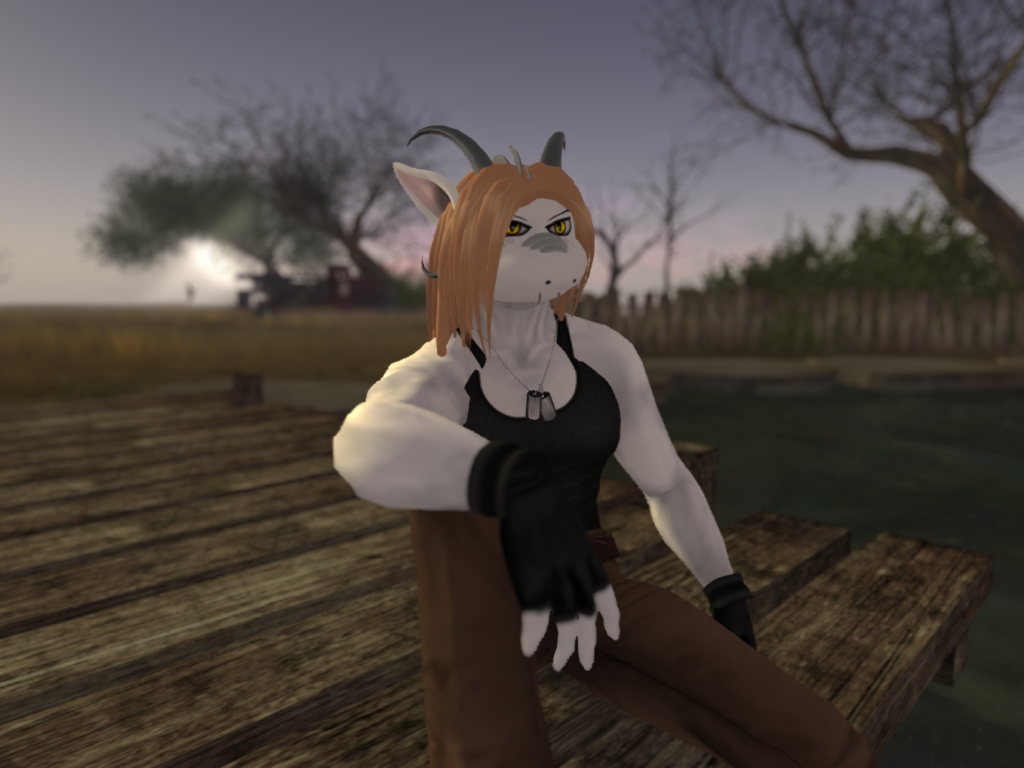 Original 512f43fa3744374323000001