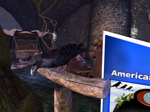 Original 626b7e2c972bb62b955db03b