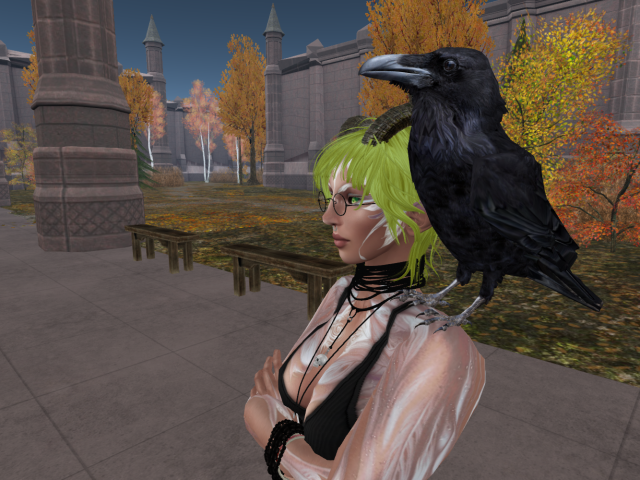 Original 62706f629044f45603d1fa41