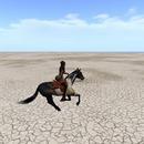 Thumb 618a0a255c4aff27d5ff7eba