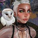 Thumb 627a064598366d68df423edf