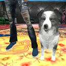 Thumb 64dee5b0a4e96732afccac69