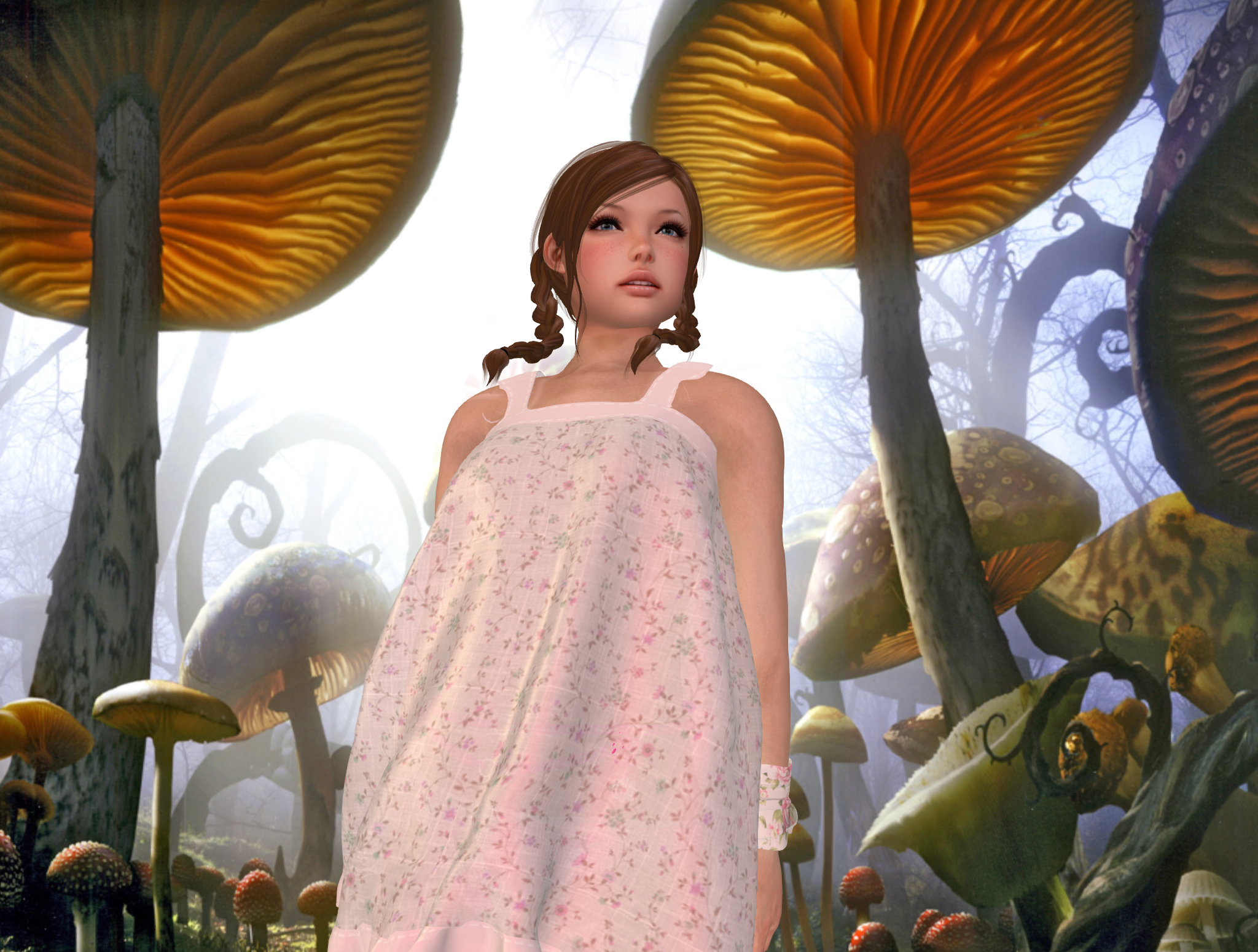 Original 5b19163f73ed170a8d000001