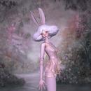 Thumb 6318bf2e27350218c436d021