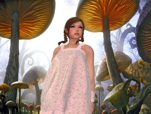 Web 5b19163f73ed170a8d000001