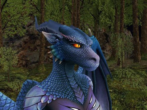 Web 62ee81615e66b8140299b99c