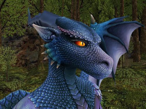 Web 62ee81c4a7496134e33a9c68