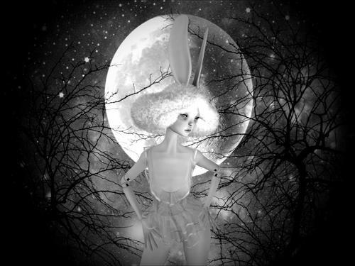 Web 6318b9a2cb2a67726a685f75