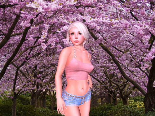 Web 637944522a82cb164d3c6d03