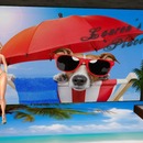 Thumb 556506b4a73e216ee0000001