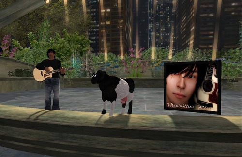 Web 5407ca53a73e210337000001