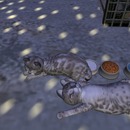 Thumb 51aaecd82607dc434d000001