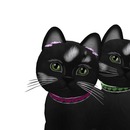 Thumb 520a93d85e78113b76000001