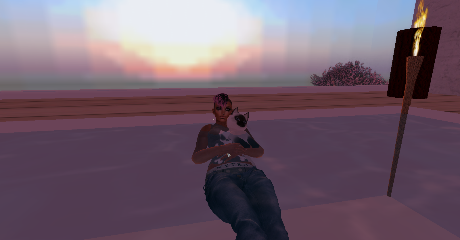 Original 516a643766a51613fc000001