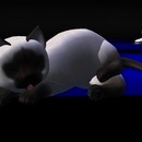 Thumb 515e6b11ae1fa45204000001