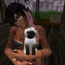 Thumb 5162a748b110212548000001