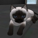 Thumb 5164a5c552f6025c1d000001