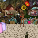 Thumb 51ca6a502f17fe11f0000001