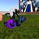 Thumb 521d1914deffba32c4000001