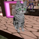 Thumb 522050ed5a118272ea000001