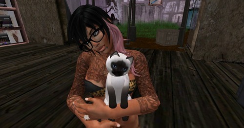 Web 5162a748b110212548000001