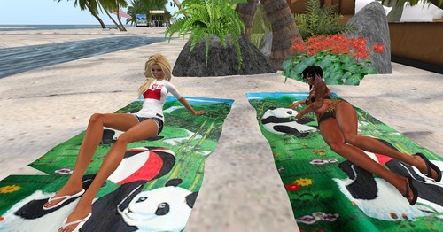 Web 51632d6fbfe61d7ea2000001