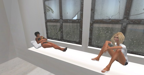 Web 516338bb13306556ef000001