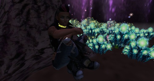 Web 516e5dd09079fc339a000001