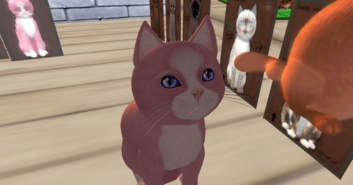 Web 51d15a03187fba0cae000001