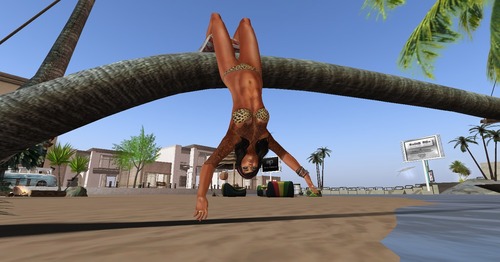 Web 51dcfc44ca65c53736000001