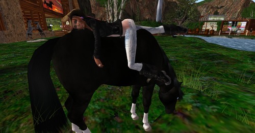 Web 522597cf9d88a511d9000001