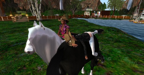 Web 52259863b34d0962d9000001