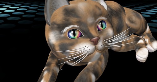 Web 52341dc8fe43af65c9000001