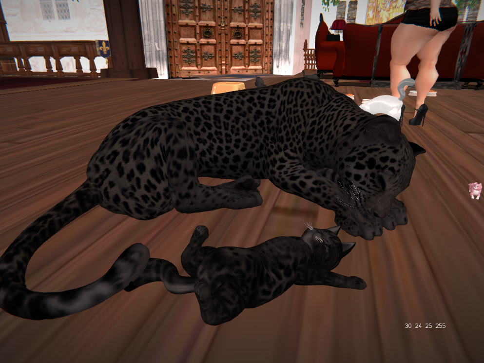 Original 5687666f9934e02897000001