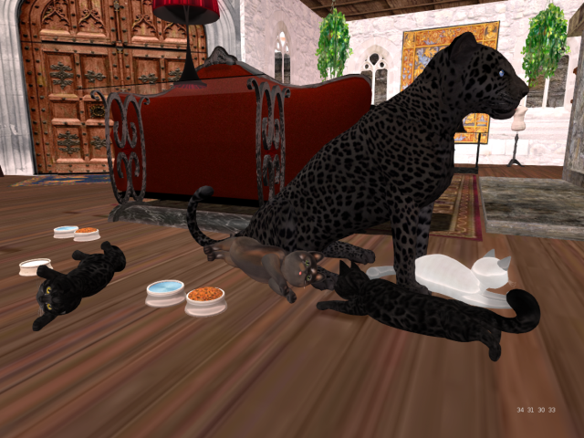 Original 568e62e13f942f22b9000001