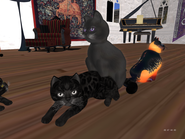 Original 568fbef7f8a1ec3951000001