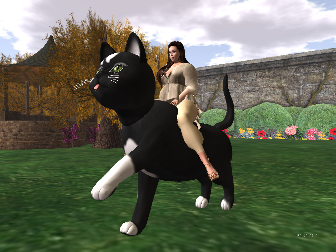 Original 56e03a1c9934e00f71000001