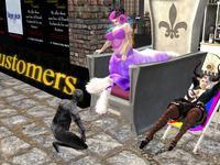 Small 62fd09a661a936407a421b15