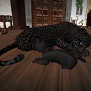 Thumb 5661b2d2f8a1ec353c000001