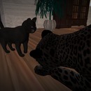 Thumb 5661b390f8a1ec39f9000001