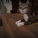 Thumb 5661b3cdf8a1ec3e1c000001