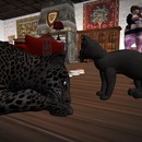 Thumb 5661b4e4128cc949b5000001