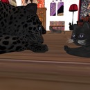 Thumb 56721baa128cc96a38000001