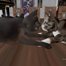 Thumb 56764aa29934e077c7000001