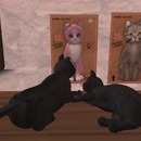 Thumb 568692173f942f4a36000001