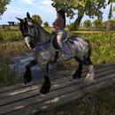 Thumb 5e598ef3289dd21c751a19e9