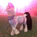 Thumb 5ee181a8d9859c72ade2ea6a