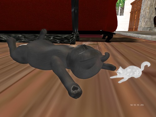 Web 567cd4189934e015a9000001